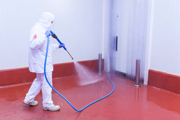Trusted Wanamassa, NJ Pressure Washing Experts